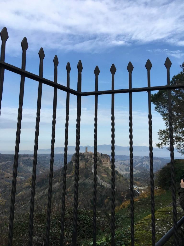 Grille de protection forgée, finition noir mat